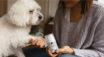 Een kleine witte hond krijgt huidverzorging(s) crème aangebracht op zijn poot door een persoon die een flesje met een verzorgingsproduct vasthoudt.