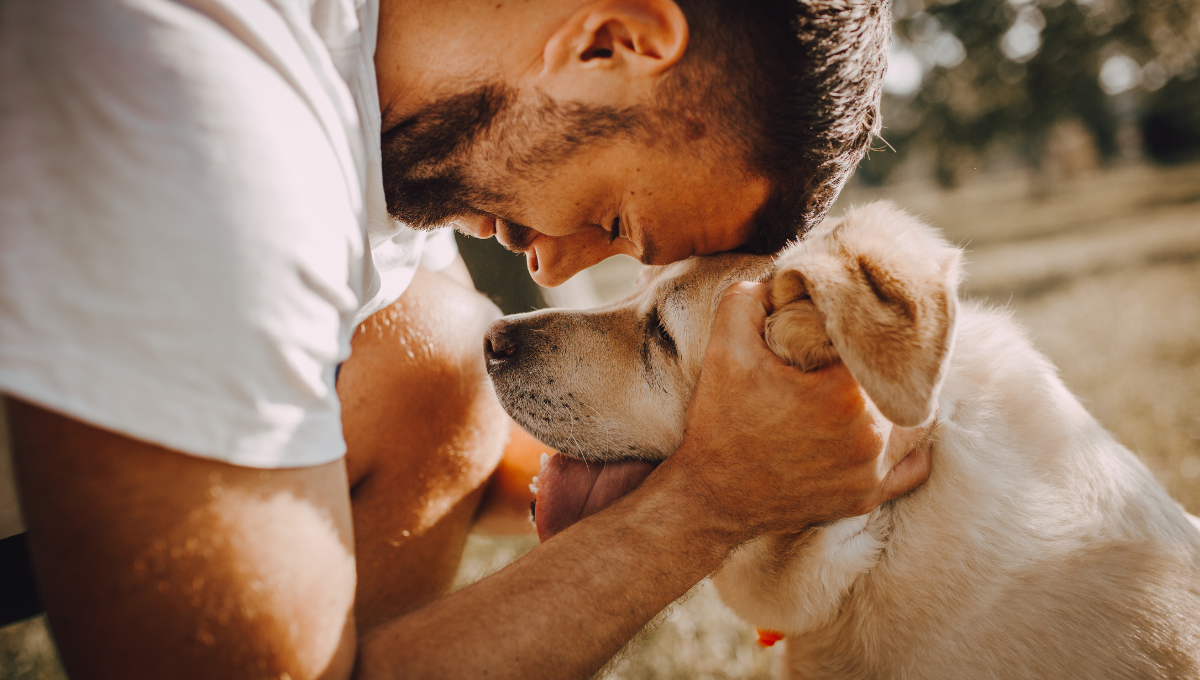 Een man toont liefdevolle aandacht aan zijn oudere hond door zijn hoofd zachtjes vast te houden en voorover te buigen, terwijl ze elkaar in de ogen kijken.