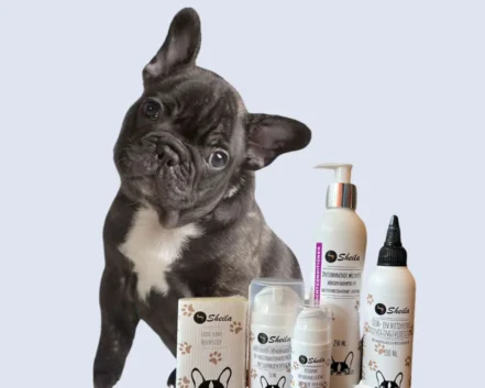 Een schattige Franse bulldog zit naast een selectie hondenverzorgingsproducten, waaronder shampoo, reinigingsvloeistof en huidverzorgingscrème.